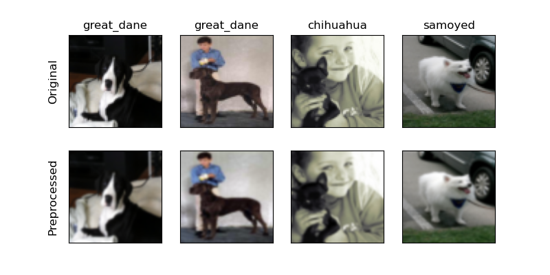 Deep Learning Image Classification Pipeline